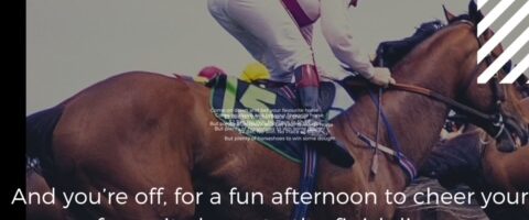 Byron Downs Virtual Horse Racing