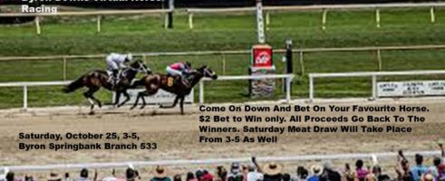 Byron Downs Virtual Horse Racing – 3:00-5:00 PM October 25th