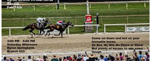 Byron Downs Virtual Horse Racing – 3-5 PM Saturday 14 Feb 2026